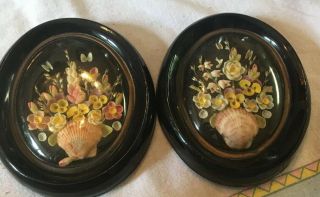 Vintage Handmade Oval Seashell Wall Art Pictures - Set Of 2