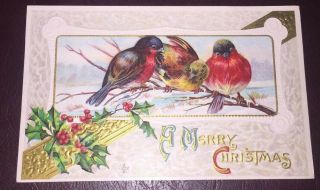 Vintage Merry Christmas Postcard Embossed Gold Holly 3 Bird On Branch Lsc