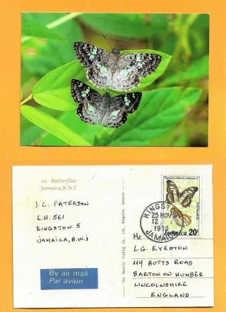 Jamaica Postcard Butterfly Stamp Butterfly