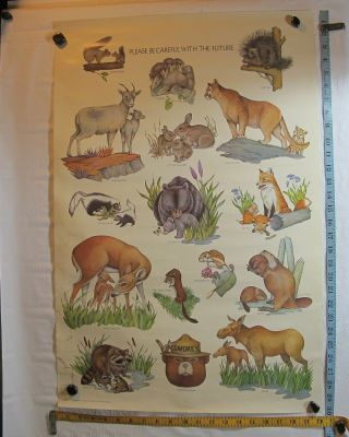 Vintage U.  S.  Forest Service Smoky Bear Be Careful With The Future 20x30 Poster