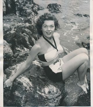 Joyce Mackenzie 1952 Sexy Leggy Swimsuit Cheesecake Press Photo