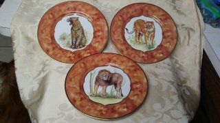 3 Nwt Email De Limoges - Godinger Safari Series Lion Tiger & Cheetah Plate 10 "