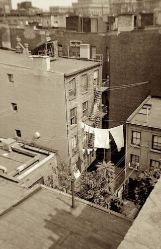 1950s Photo Negative Nyc Backyard City Eavesdrop From Roof Top Snap By Chazen