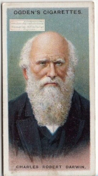 Charles Darwin English Naturalist Evolution Theory Science 100,  Y/o Trade Card