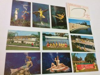Vintage Weeki Wachee Mermaids Post Cards 10 Pack Souvenior 50 