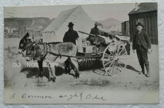 C.  1907 Postcard.  Street Scene,  Gold Prospectors With Wagon In Goldfield Nevada