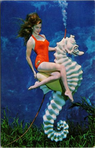 Young Woman Underwater Weeki Wachee Mermaids Fl Florida Postcard F17