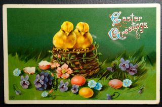 Postcard Easter Greetings Eas Chicks In Basket With Eggs And Flowers