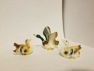 Vintage Miniature Bone China Animals Ducks Set Of 3