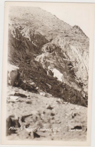 Rp,  Mountain Goat,  Lillooet,  British Columbia,  Canada,  1920 - 1940s
