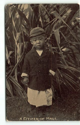 Antiq Maui Sugar Plantation Postcard - Ray Jerome Baker Japanese Influence Hawaii