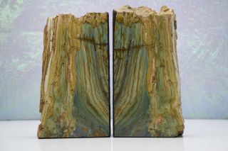Petrified Wood Bookends Geary Green Mcdermitt Oregon