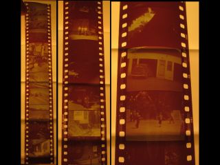 Vintage 1930s - 1940s Film Strip Slide Roll Ansco California Redwoods/tree House