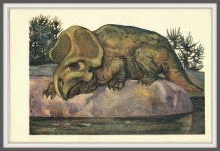 1969 Dinosaur Protoceratops Animals Paleontology Art Soviet Vintage Postcard
