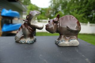 Vintage Open Mouth Hippopotamus Salt And Pepper Shakers