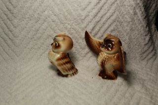 Vintage Adorable Owl Couple Salt and Pepper Shakers - Japan 4