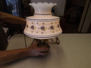 Vintage Blue Flowers Gone with the Wind parlor Hurricane Ceiling Swag lamp Light 2