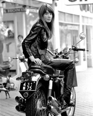 Francoise Hardy Singer - Songwriter And Actress - 8x10 Publicity Photo (da - 093)