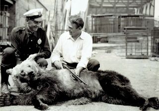 1938 Vintage Photo Pittsburgh Police Officer Kills Grizzly Bear Who Escaped Zoo
