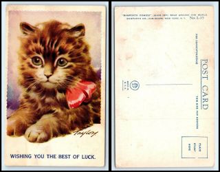 Vintage Postcard - Artist Signed " Taylor " Cat / Kitten With Red Bow N30