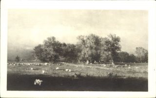 Rppc Postcard Durham Connecticut By George Inness Cleveland Museum Of Art Oh