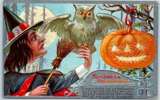 Vintage Nash Series No.  2 Postcard Halloween Precautions Witch Owl Jol 1909