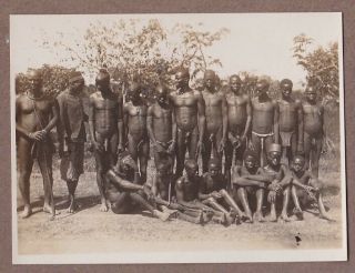 Vintage Photograph Silver Ethnographic Tribal Men With Castigated Genitals