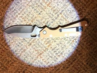 Buck/strider Knife