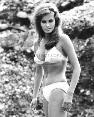 Raquel Welch Actress And Sex - Symbol Pin Up - 8x10 Publicity Photo (dd533)