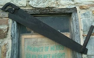 Antique One/two Man Cross Cut Saw Superior 48 " Vtg.  Logging Tool W/ 2 Handles
