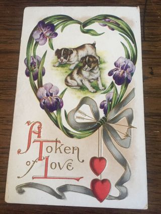 Vintage Valentine’s Day Postcard Dogs Pugs Hearts Arrows Irises Embossed