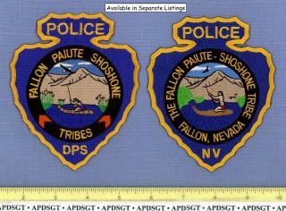 FALLON PAIUTE SHOSHONE NEVADA Indian Tribe Tribal Police Patch ARROWHEAD SHAPE 2