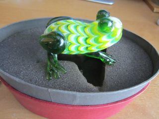 Fritz And Floyd Glass Menagerie Frog Complete