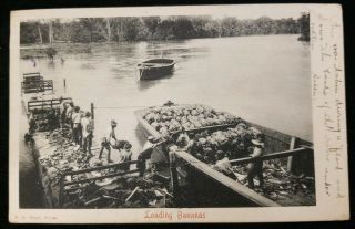 1905 Bocas Del Toro Panama Loading Bananas River Scene Vintage Postcard