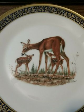 Lenox Annual Limited Edition Boehm Woodland Wildlife Whitetail Deer