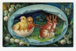 Antique Embossed Easter Postcard - Rabbits Pulling Chicks In Egg Shell - 1910