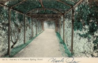 Path To Constant Springs Hotel Jamaica 1908 - Mailed Within The U.  S.