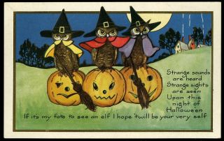 Vintage Whitney Made Halloween Postcard Pumpkin Jack - O - Lantern Witch Owl Embossd