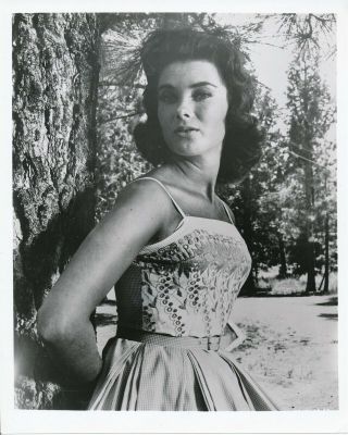 Carol Christensen 1950s 8 X 10 Sexy Glamour Photo