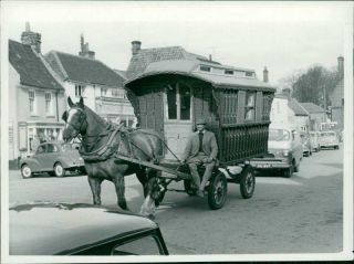 Animals: Horses: Transport: Gipsy Caravan - Vintage Photo