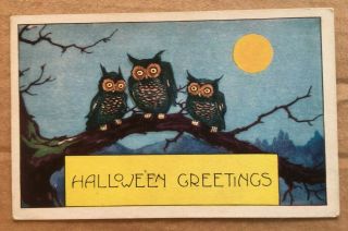 Vintage Whitney Halloween Postcard - 3 Owls & Full Moon