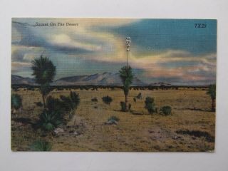 Vintage 1950 Linen Post Card " Sunset On The Desert "