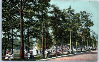 Canton,  Ohio Postcard " View Along Meyers Lake " Amusement Park Scene 1910s