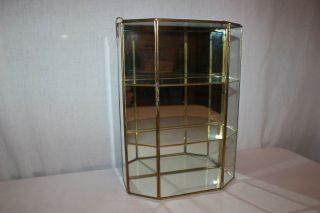 Brass Glass 12 Curio Display Case Mirrored Hanging Standing Cabinet