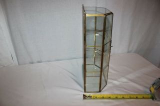 Brass Glass 12 Curio Display Case Mirrored Hanging Standing Cabinet 4