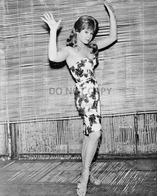 Actress Sue Ann Langdon - 8x10 Publicity Photo (ee - 173)
