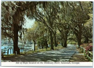 Savannah Georgia Postcard - Isle Of Hope Located On The Skidaway River