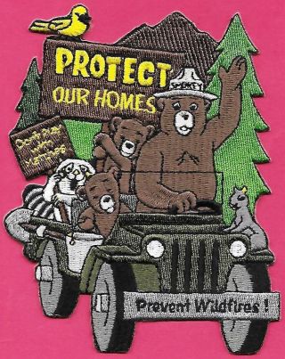 Us Usfs Forest Service 2007 Protect Our Homes Smokey Bear Cloth Patch