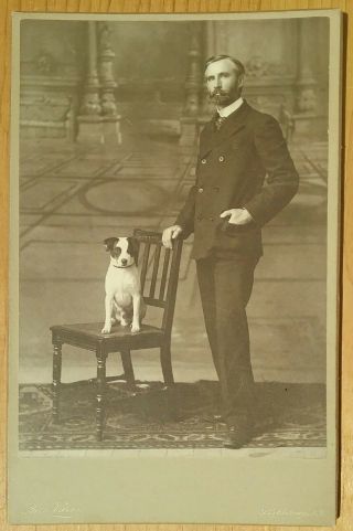 Cabinet Card Man In Suit Beard & Mustache,  Terrier Dog On Chair By Pach Bros N Y