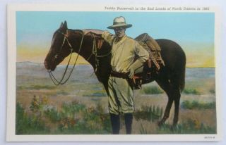 North Dakota Teddy Roosevelt In The Bad Lands Postcard Vintage View Old Card
